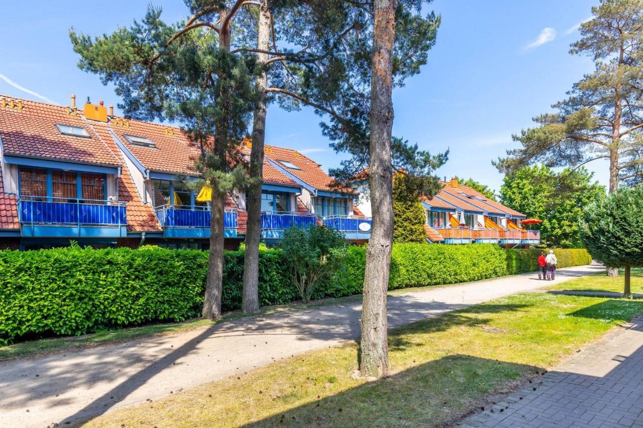Papillon 9-5 Wohnung "Ostseefeeling" Boltenhagen  Eksteriør billede